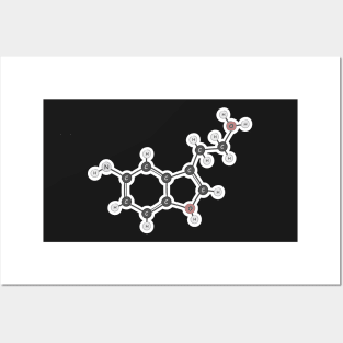 Store-Bought Serotonin Posters and Art
